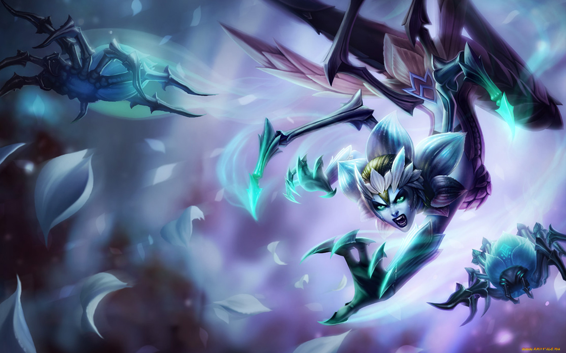  , league of legends, , elise